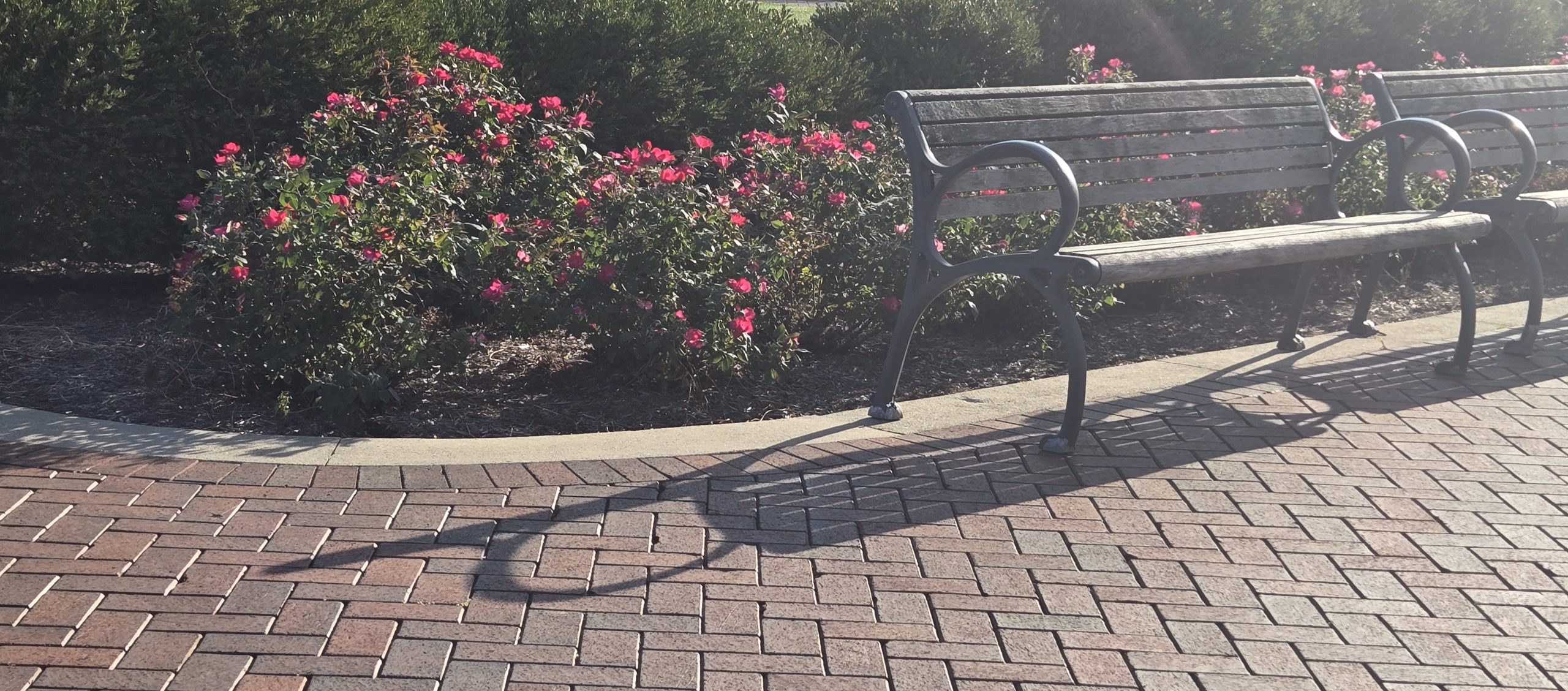 Admired to Inspired: Inspiration as a Student Writer